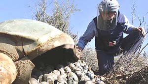 Lebanon Norway Cluster Bombs