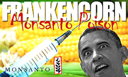 Propaganda contro Obama, grande protettore della Monsanto