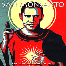 Obama sponsor degli Ogm Monsanto, manifesto di denuncia