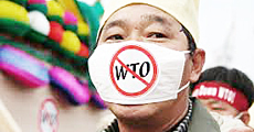 Stop Wto