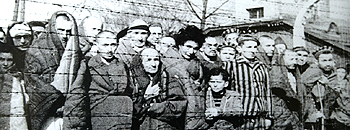 Prigionieri di Auschwitz alla liberazione nel '45