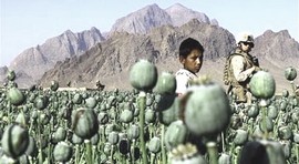 Oppio in Afghanistan